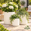 Mivrelle 1 main product view