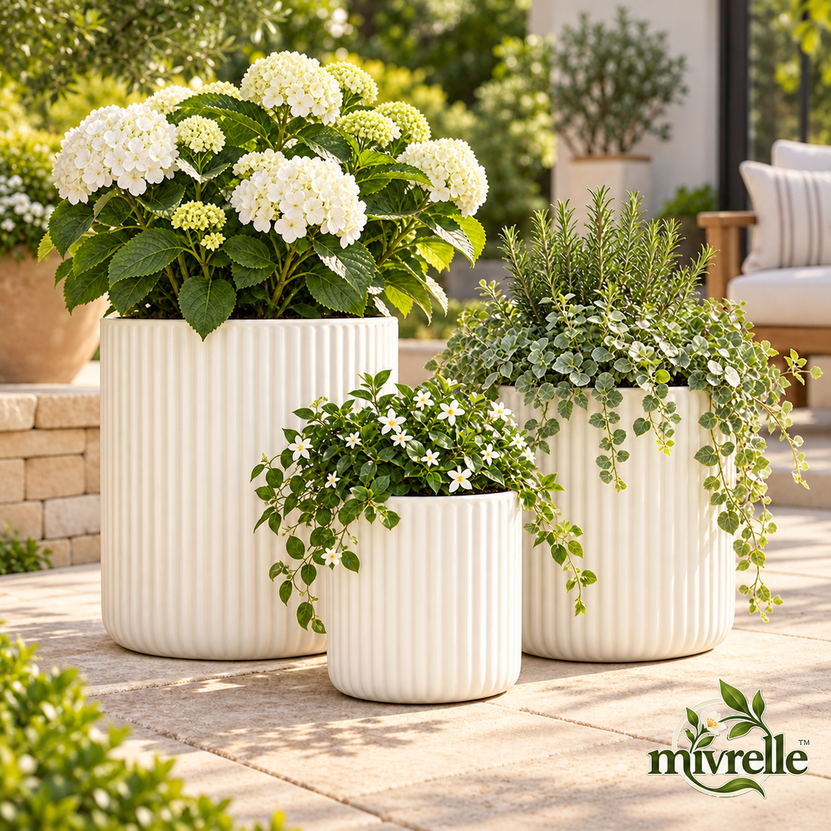 Mivrelle 1 main product view
