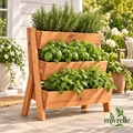 Mivrelle 3 main product view