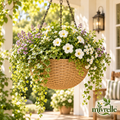 Mivrelle 7 main product view